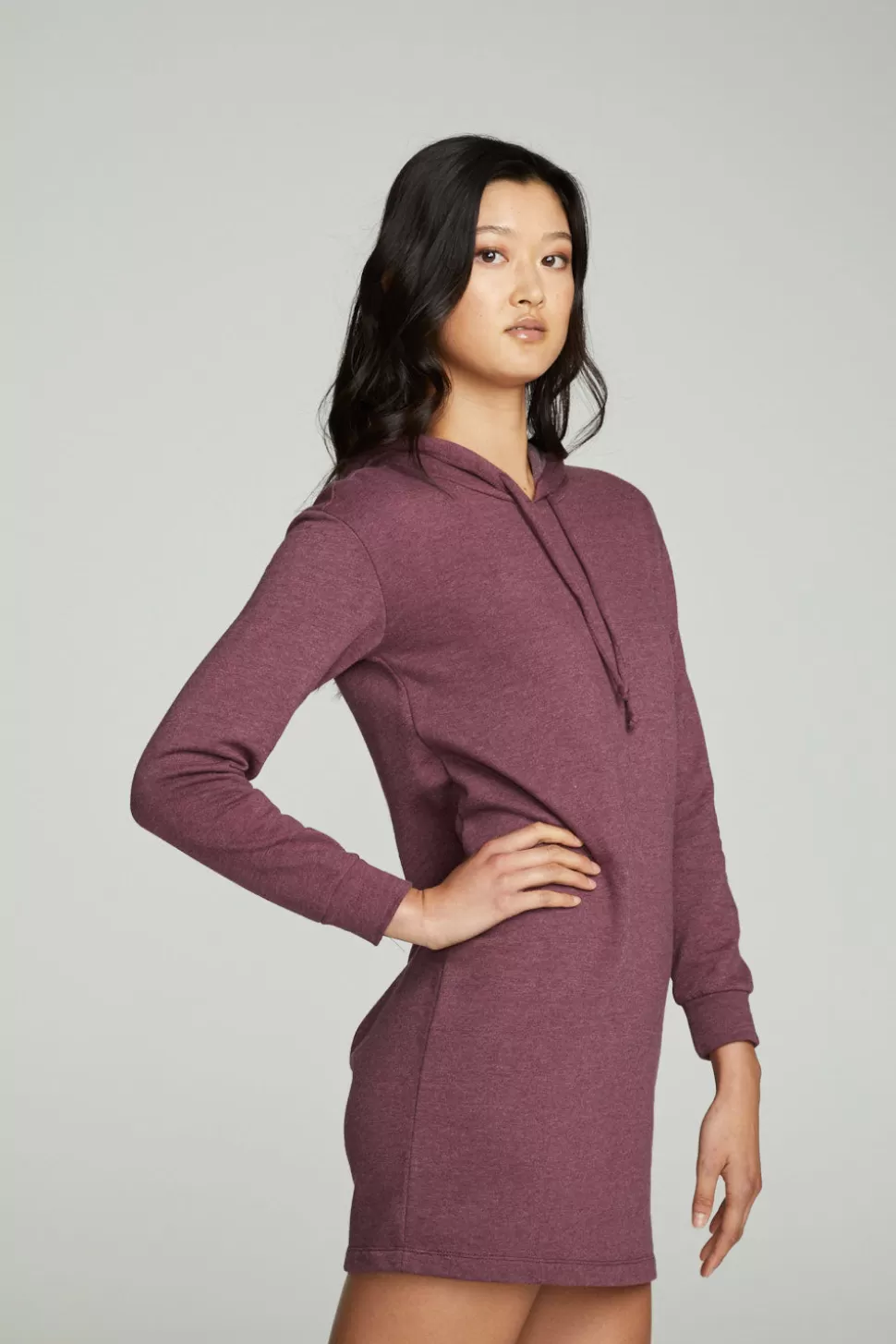 Chaser Brand Long Sleeve Hoodie Dress New