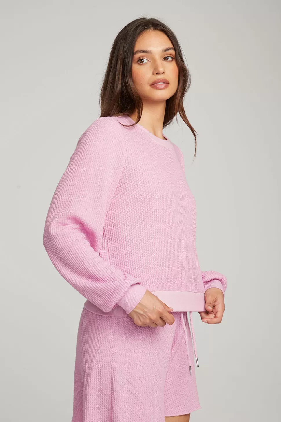 Chaser Brand Owlsey Pastel Lavender Pullover Best Sale