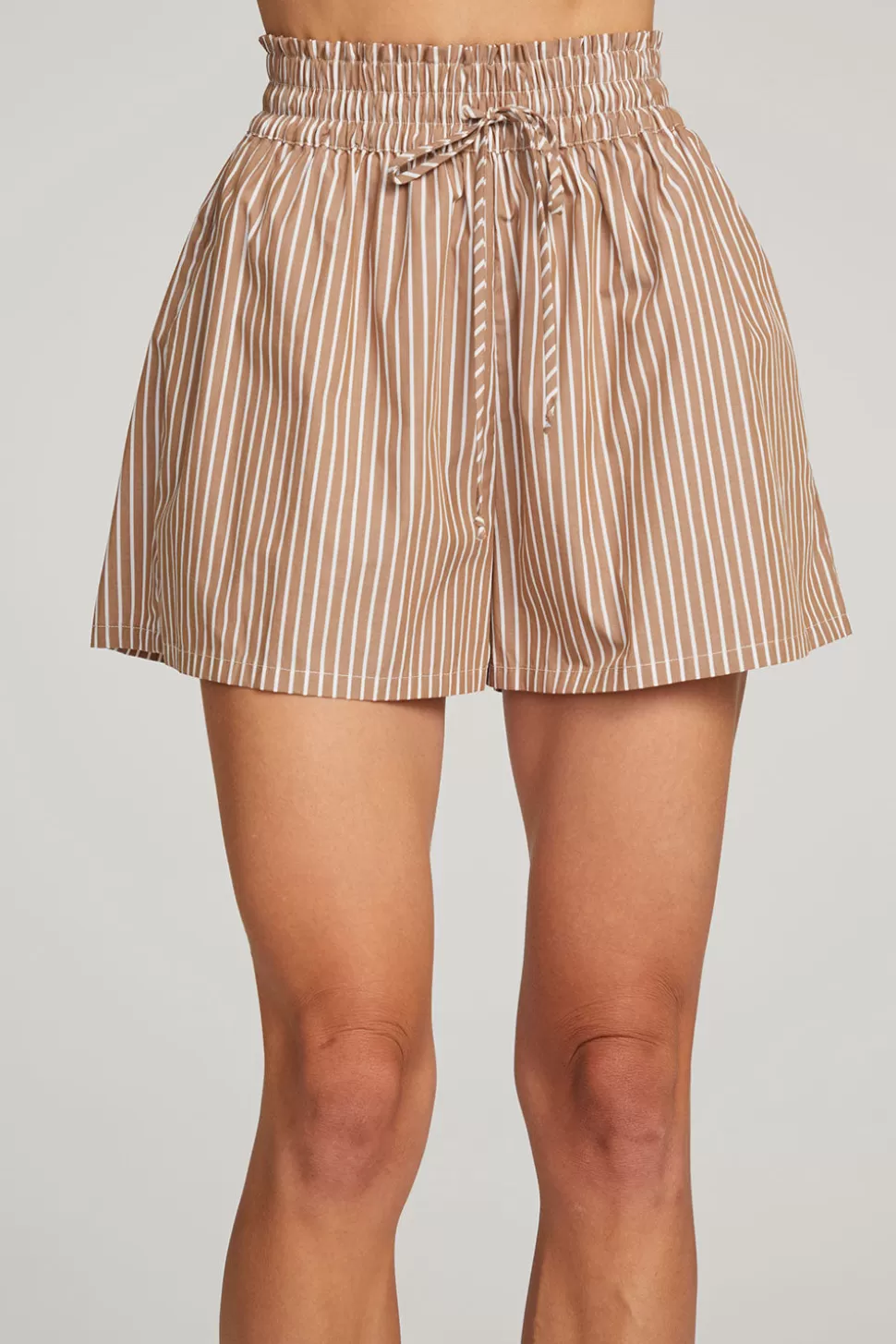 Chaser Brand Rapalloo Whiskey Stripe Short Hot